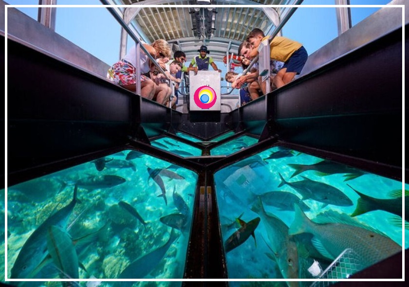 Cam Tabanlı Tekne Gezisi