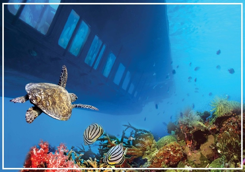 Denizaltı (Su Altı Gemisi)